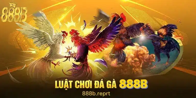 Luật chơi đá gà trực tuyến tại 888b 